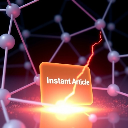 Facebook Instant Articles Facebook即时文章：引爆内容速度与传播