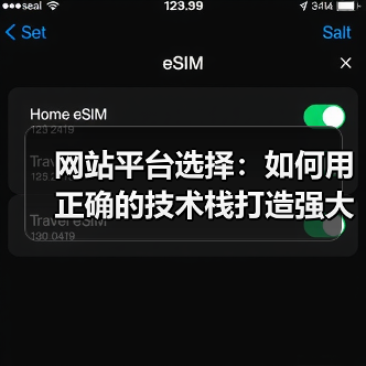 网站平台选择：如何用正确的技术栈打造强大的线上基石（图2）