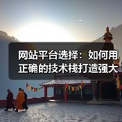网站平台选择：如何用正确的技术栈打造强大的线上基石（图4）