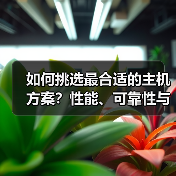 如何挑选最合适的主机方案？性能、可靠性与支持都不能忽视（图2）