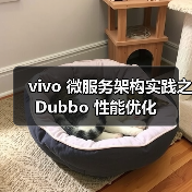 vivo 微服务架构实践之 Dubbo 性能优化（图2）