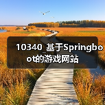 10340_基于Springboot的游戏网站（图3）
